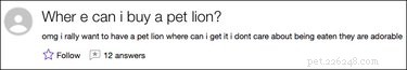 19 Surprisingly Confusing Pet Questions That Will Leave You Stumped