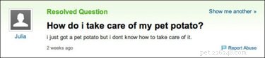 19 Surprisingly Confusing Pet Questions That Will Leave You Stumped