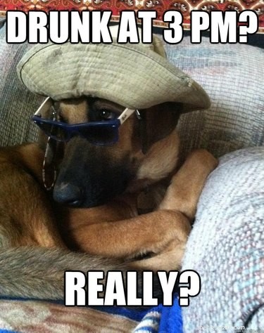20 Endearing Pets That Seem to Judge You