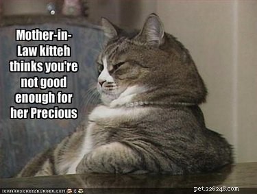 20 Endearing Pets That Seem to Judge You