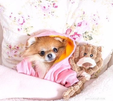 25 Hilarious Animal Photos That Will Brighten Your Day