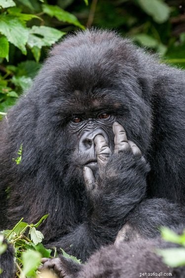 25 Hilarious Animal Photos That Will Brighten Your Day