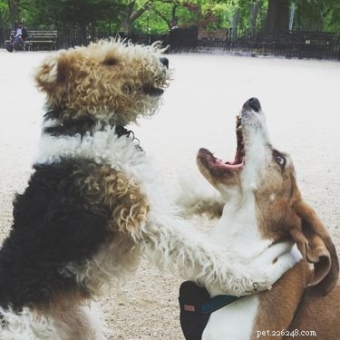 25 Hilarious Animal Photos That Will Brighten Your Day