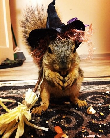 25 Hilarious Animal Photos That Will Brighten Your Day