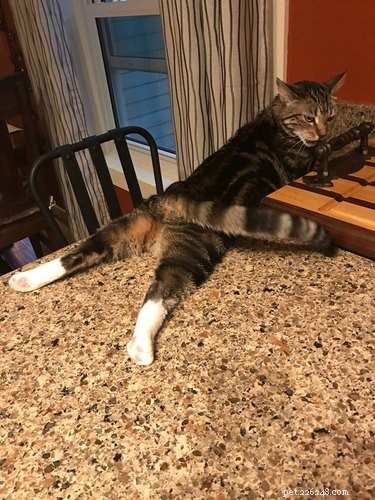 25 Hilarious Animal Photos That Will Brighten Your Day