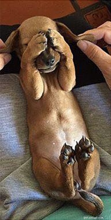 25 Hilarious Animal Photos That Will Brighten Your Day