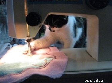 17 Adorable Pets That Could Lighten Your Household Chores