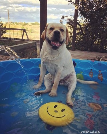 20 Adorable Animals Guaranteed to Brighten Your Day