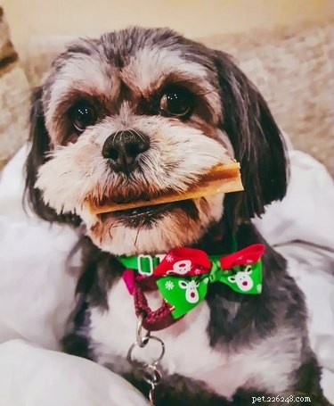 20 Adorable Animals Guaranteed to Brighten Your Day