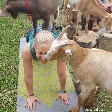 20 Adorable Animals Guaranteed to Brighten Your Day