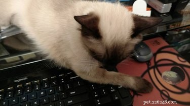 20 Adorable Animals Guaranteed to Brighten Your Day