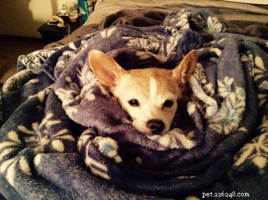 20 Adorable Animals Guaranteed to Brighten Your Day