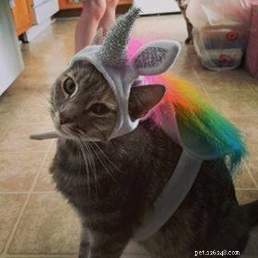 Literally Just 21 Animals That Will Force You to Smile
