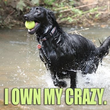Literally Just 21 Animals That Will Force You to Smile