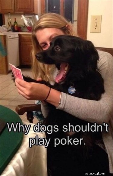 Literally Just 21 Animals That Will Force You to Smile