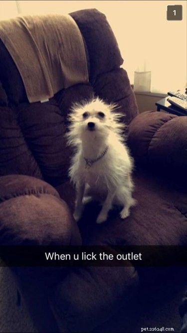 Literally Just 21 Animals That Will Force You to Smile