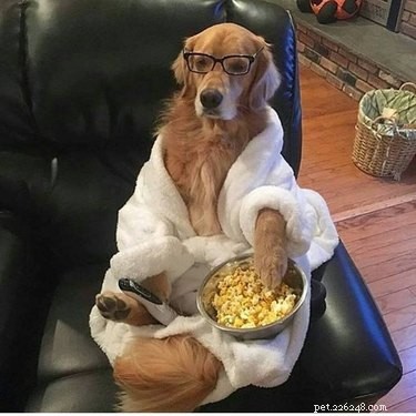 Literally Just 21 Animals That Will Force You to Smile