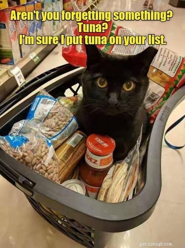 Literally Just 21 Animals That Will Force You to Smile