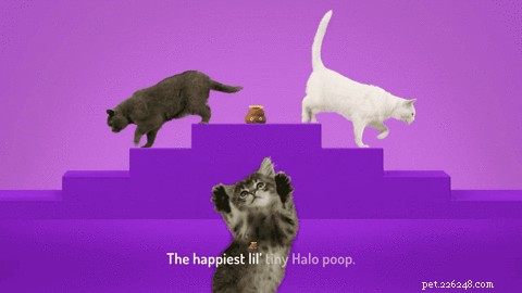 Meet Poopsie: Halo s Animated Mascot Promoting Healthy Pet Nutrition