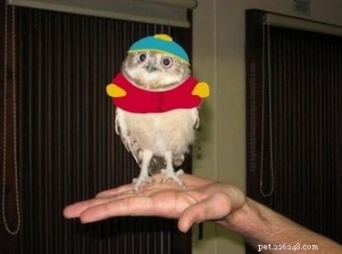 21 Unforgettable Animal Moments That Will Leave You in Stitches