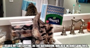 21 Unforgettable Animal Moments That Will Leave You in Stitches
