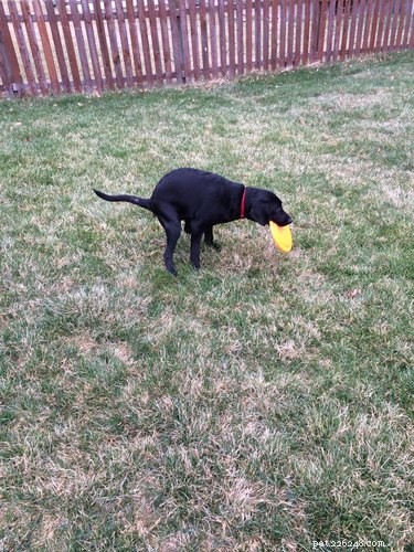 21 Unforgettable Animal Moments That Will Leave You in Stitches