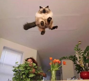 16 Heartwarming Animal Photos Guaranteed to Lift Your Spirits