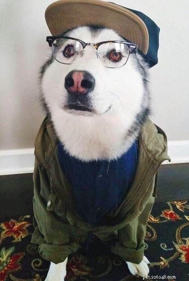 16 Heartwarming Animal Photos Guaranteed to Lift Your Spirits