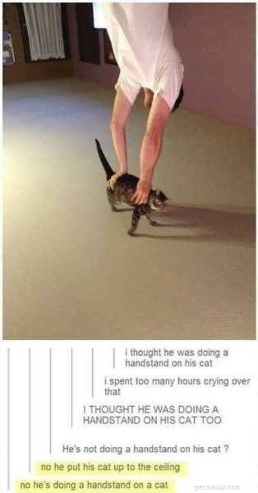 16 Heartwarming Animal Photos Guaranteed to Lift Your Spirits