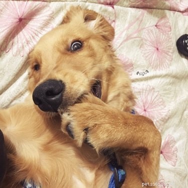 16 Heartwarming Animal Photos Guaranteed to Lift Your Spirits