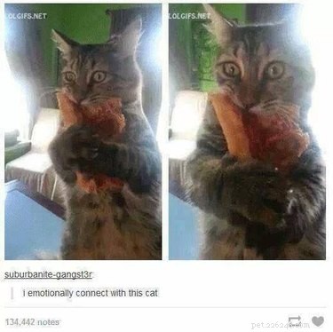 16 Heartwarming Animal Photos Guaranteed to Lift Your Spirits