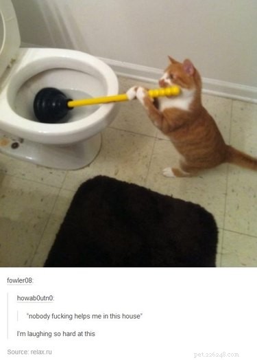18 Fun Animal Pictures to Brighten Your Saturday