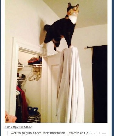 18 Fun Animal Pictures to Brighten Your Saturday