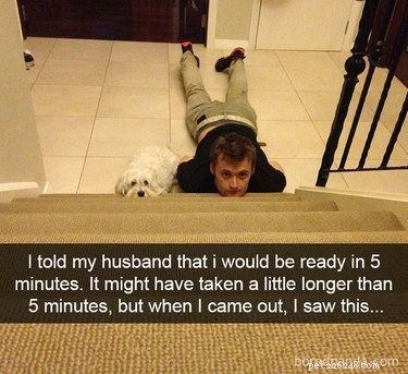 20 Adorable Pets That Will Brighten Your Day