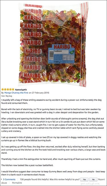 13 Hilarious Amazon Pet Product Reviews That Will Keep You Entertained & Inspired