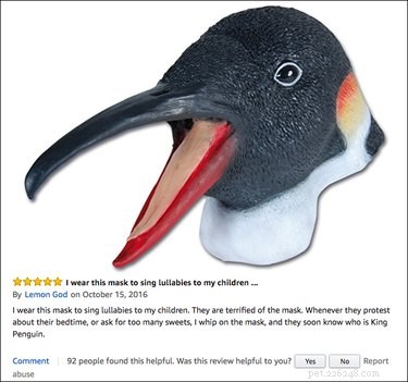 13 Hilarious Amazon Pet Product Reviews That Will Keep You Entertained & Inspired