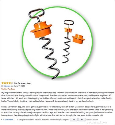 13 Hilarious Amazon Pet Product Reviews That Will Keep You Entertained & Inspired