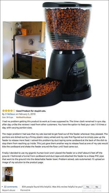 13 Hilarious Amazon Pet Product Reviews That Will Keep You Entertained & Inspired