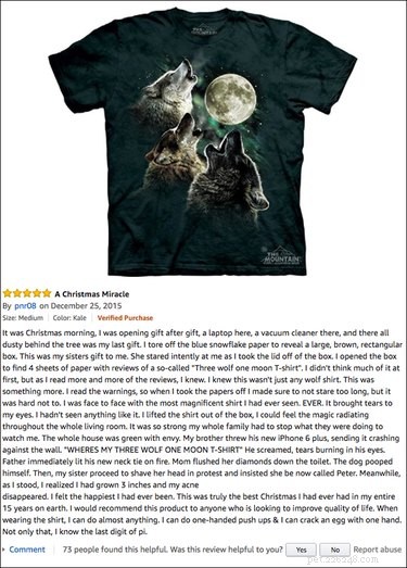 13 Hilarious Amazon Pet Product Reviews That Will Keep You Entertained & Inspired