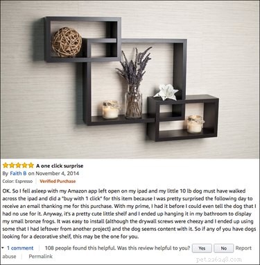 13 Hilarious Amazon Pet Product Reviews That Will Keep You Entertained & Inspired