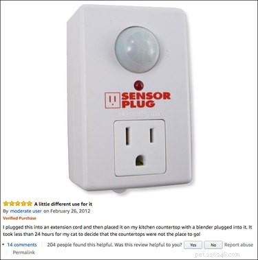 13 Hilarious Amazon Pet Product Reviews That Will Keep You Entertained & Inspired