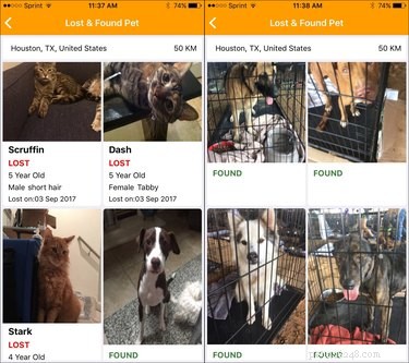 Reunite Hurricane‑Harvey Lost Pets Using Your Phone’s GPS and Facial Recognition