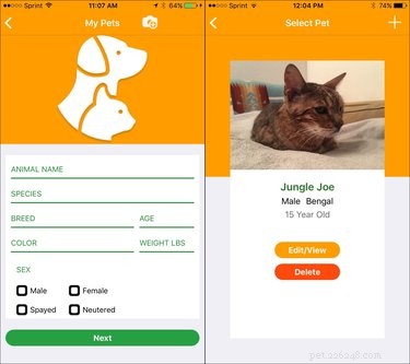 Reunite Hurricane‑Harvey Lost Pets Using Your Phone’s GPS and Facial Recognition