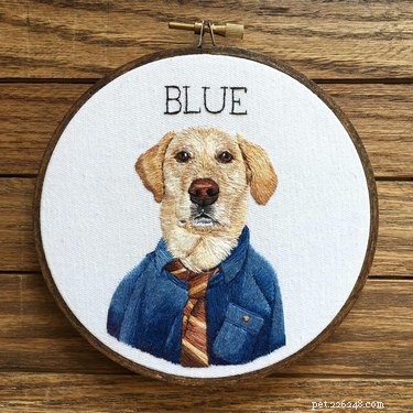 21 Stunning Pet Portraits That Capture Your Furry Friend’s Essence
