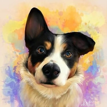 21 Stunning Pet Portraits That Capture Your Furry Friend’s Essence
