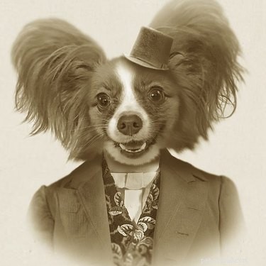 21 Stunning Pet Portraits That Capture Your Furry Friend’s Essence