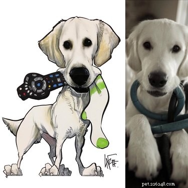 21 Stunning Pet Portraits That Capture Your Furry Friend’s Essence
