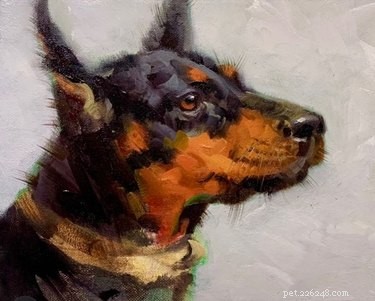 21 Stunning Pet Portraits That Capture Your Furry Friend’s Essence