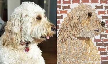 21 Stunning Pet Portraits That Capture Your Furry Friend’s Essence