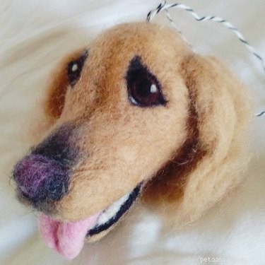 21 Stunning Pet Portraits That Capture Your Furry Friend’s Essence